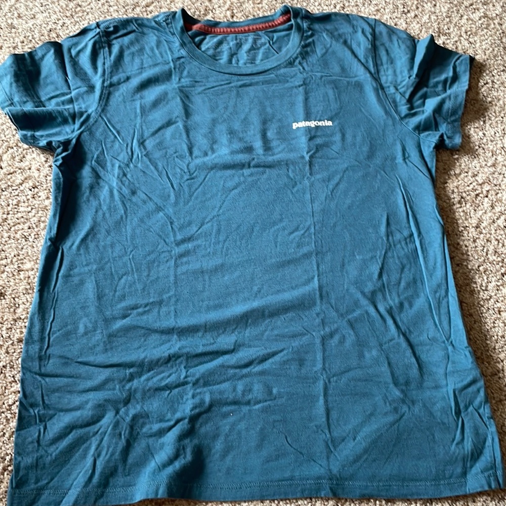 Patagonia Shirt